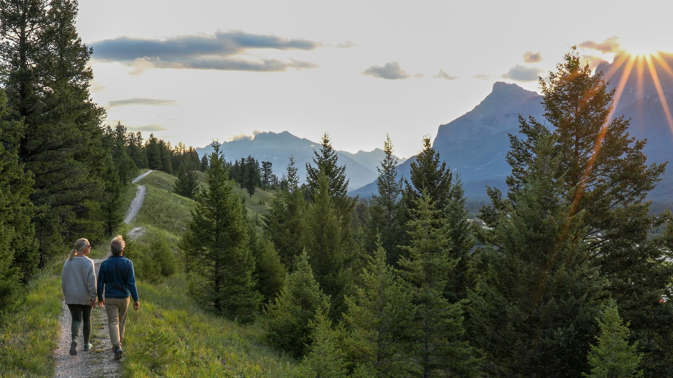 Financial Advisory Background